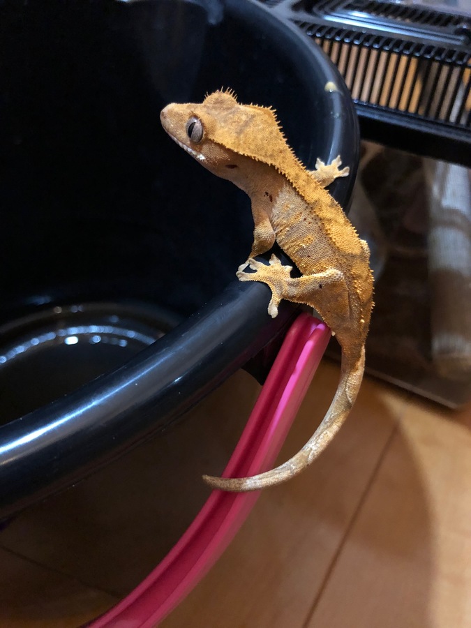 3aa38e55-03e4-4953-80c0-6ad4440c52c0