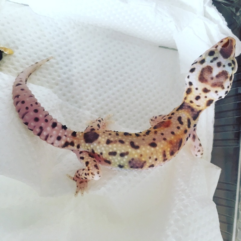 51f564a2-d694-4df5-94ba-4213534eac5d