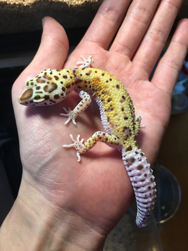 6e042299-3bfc-486c-9e06-38838fc24a47