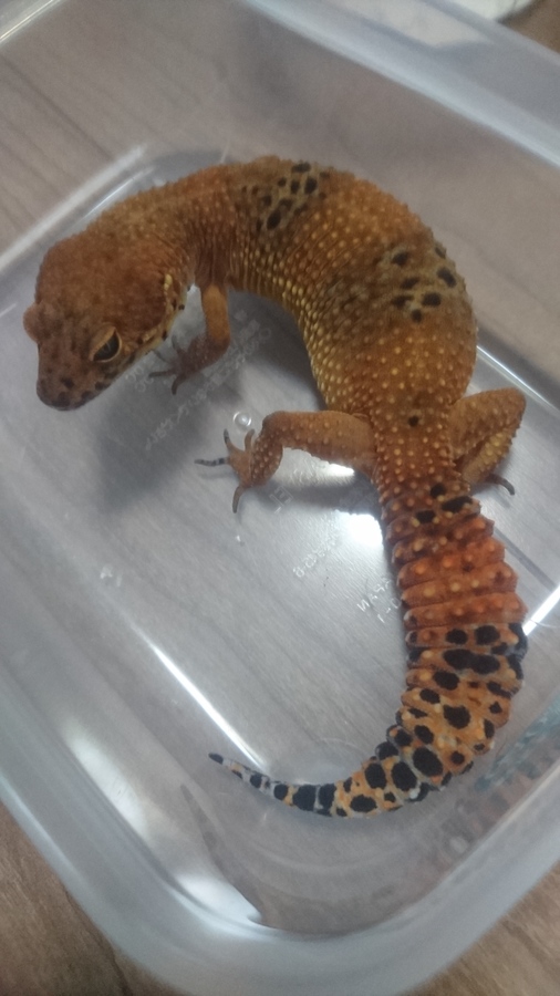 f9e48736-22ea-4441-a809-72b47c6516b6