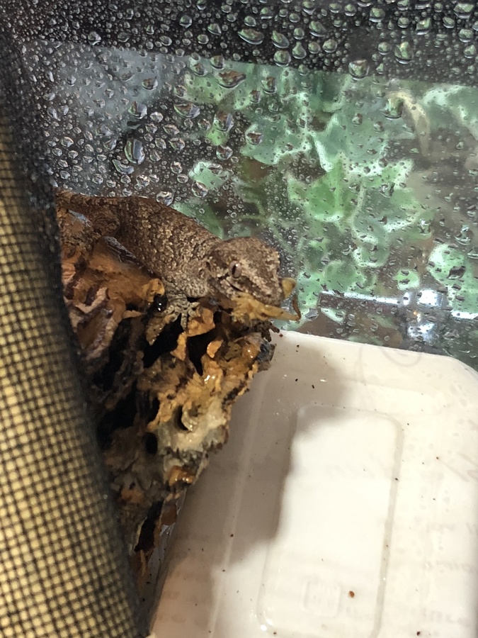 cb8ae5f9-85fb-4999-853b-5423aa5800f9