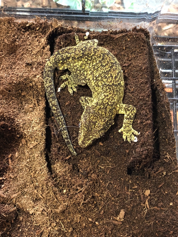 042a778a-3592-47cd-afc7-45ecdbb10325