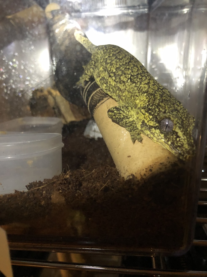 691c430a-5684-4955-a3ad-75aef701909f