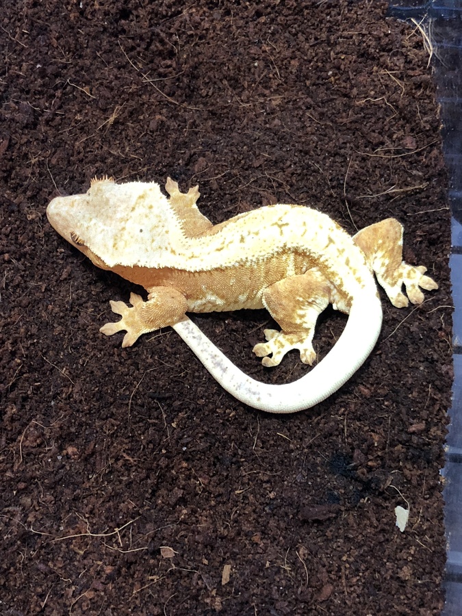 4c014164-fc17-4e97-8ae2-29946afc6d78