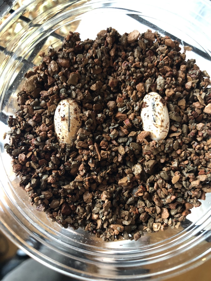 00b1c9d2-71ea-4add-a744-c3479141600a