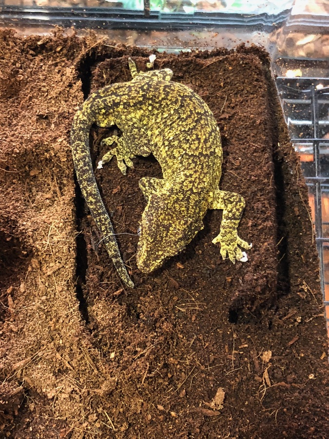 0965944b-0ebf-407d-bdb3-40c0af07be6b