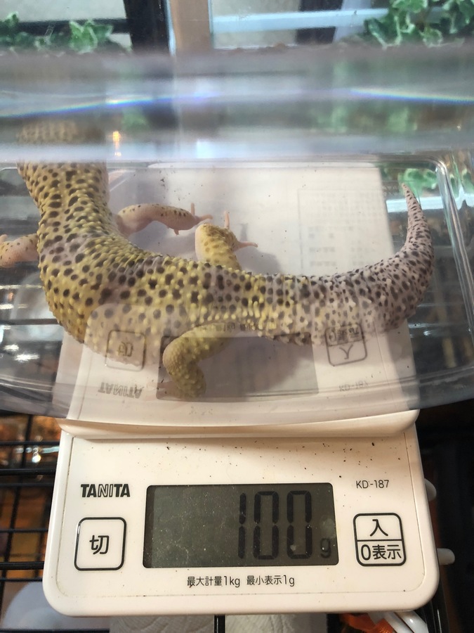 d91f70c9-228d-4742-bc62-23a8d37055fa