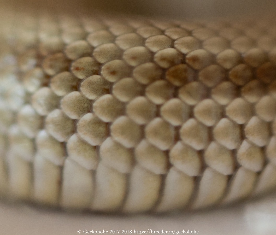 a4cd6da6-15ea-4ae3-acc6-502ca679971e