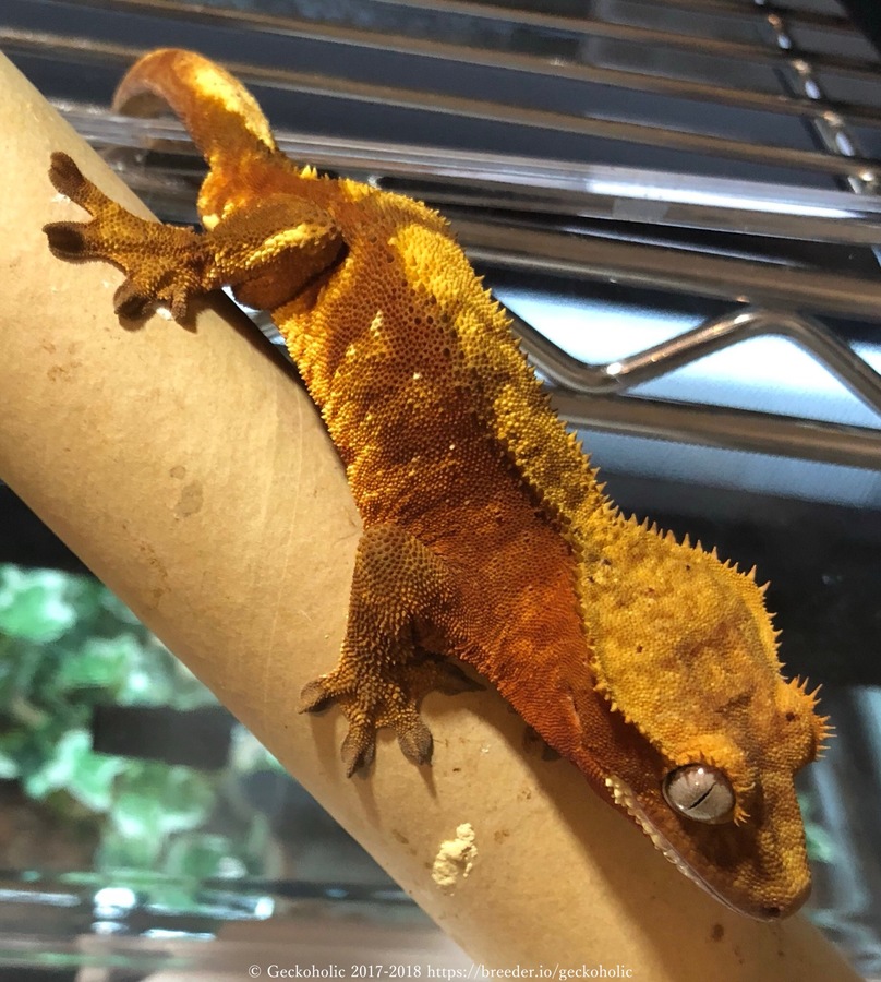 70a7f766-ab24-4437-9f75-7ae01676bf9b