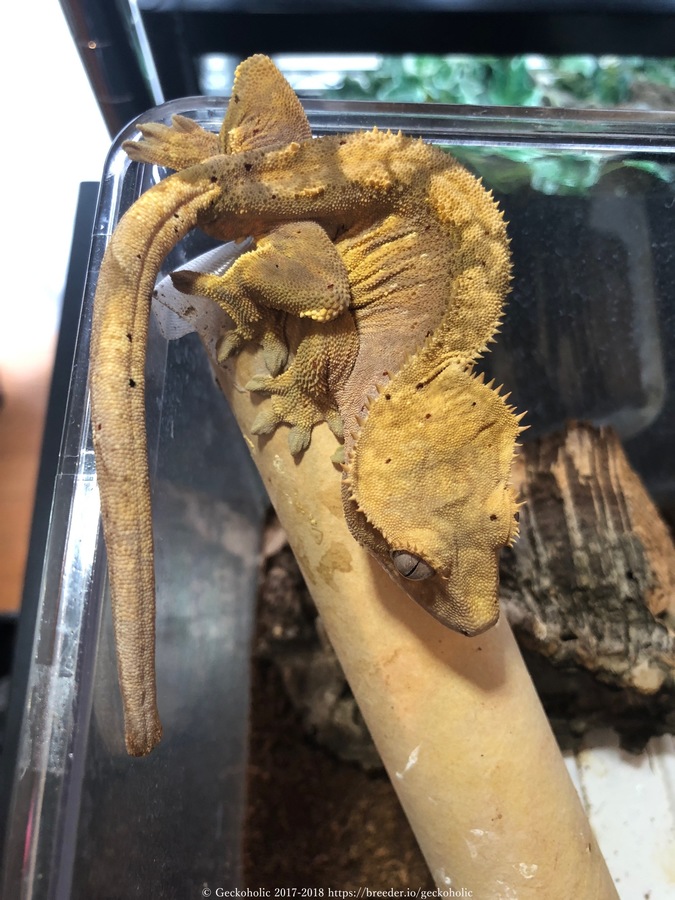 8e846033-6043-4b7d-9327-9463bb07d581