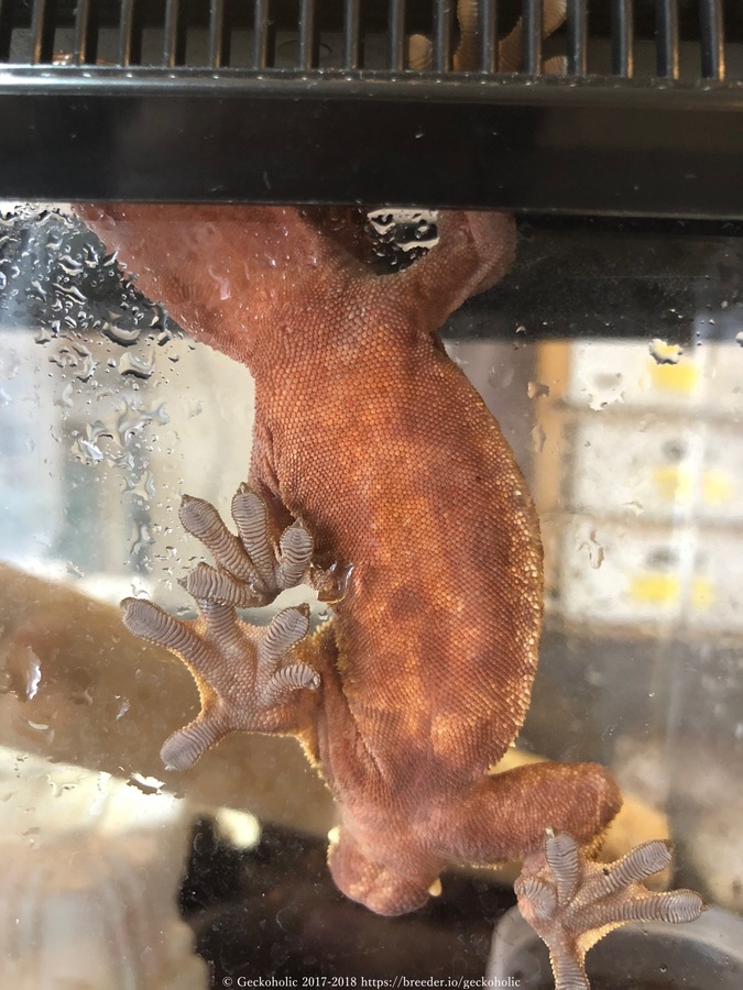 1a99b0f1-9cdd-4d3e-9547-7bc5421e468e