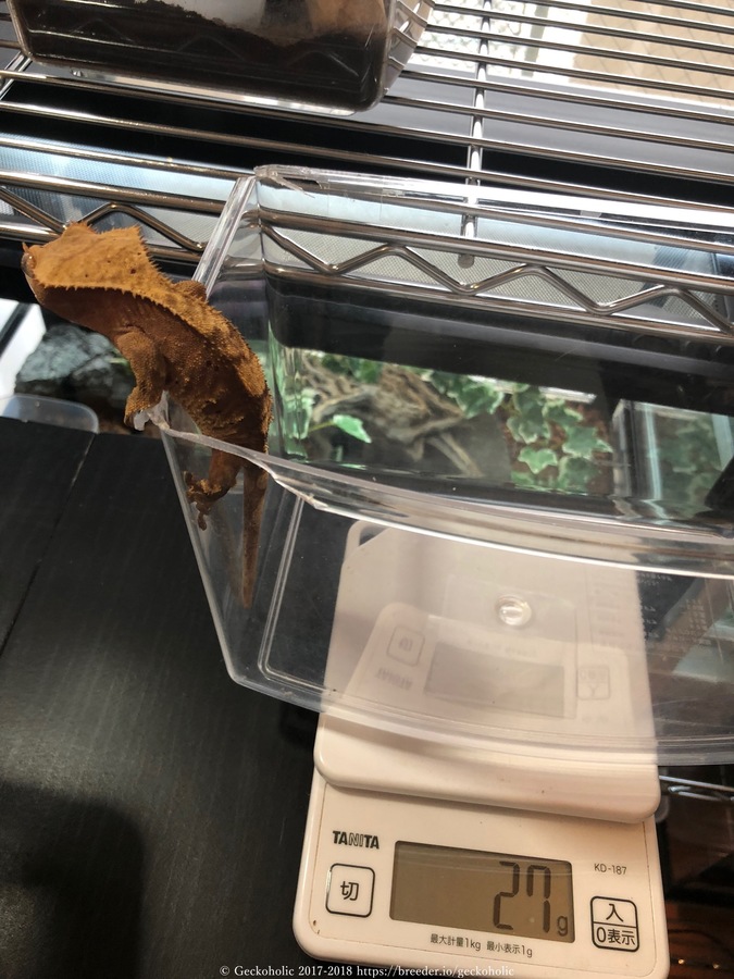 d77e5876-f384-4b2f-90d8-f1937471ddd7