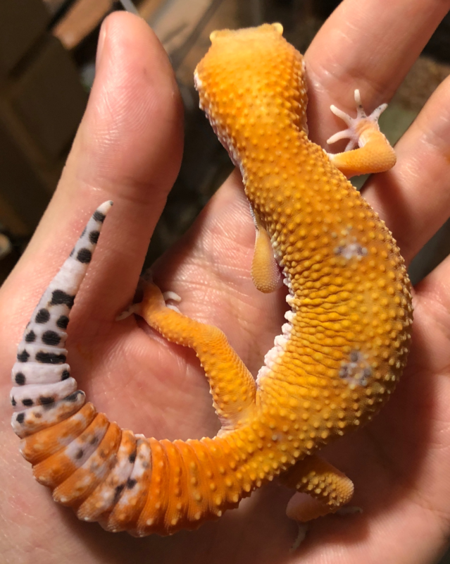 dc1ba5bc-f82d-4d0d-bb80-fabccedca8d5