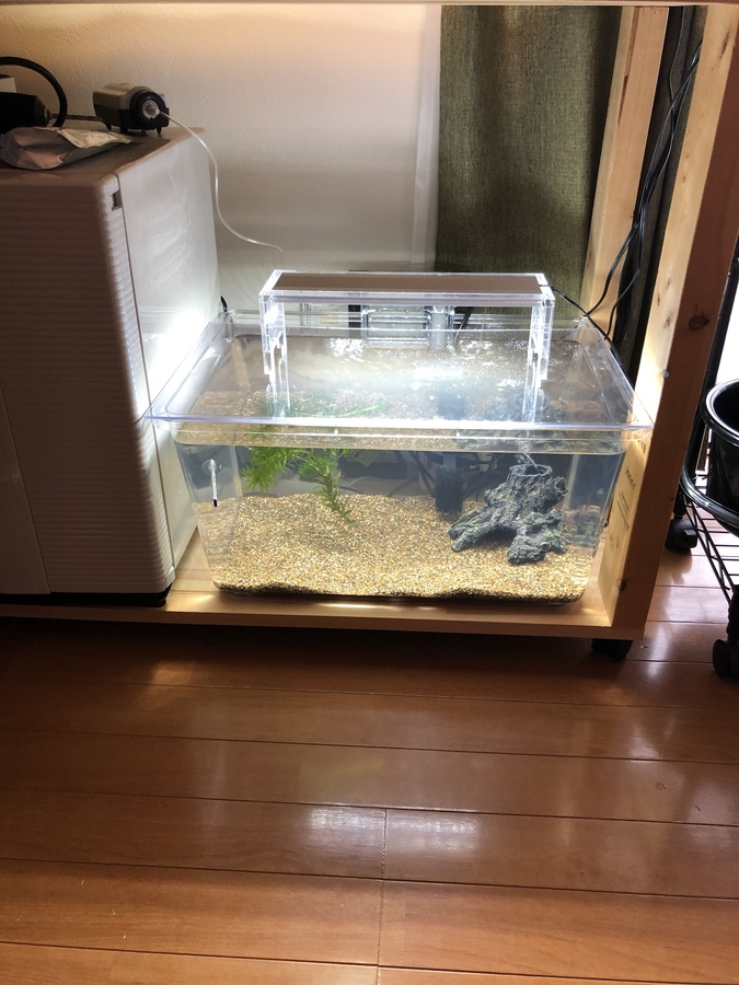 39a96fae-7f5d-4103-b850-d67a79966835