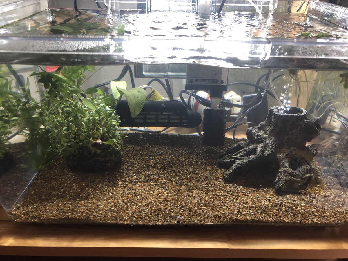 ae0fe3b8-c337-4956-9198-cf343d9a0638