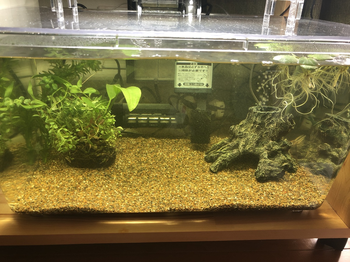 90c9a54e-be69-464c-b8d2-6d69084569ef