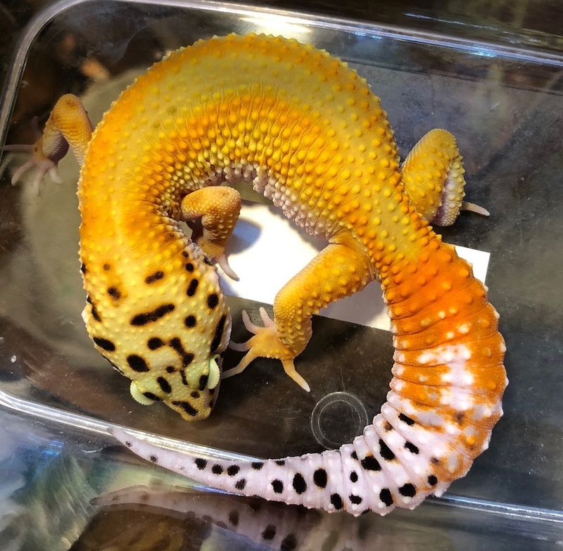 893d40d2-f25c-4d8f-b06e-77fe7d27471f