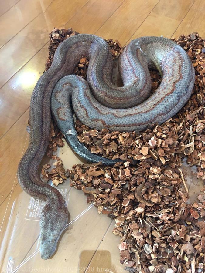 d3faff75-4291-49b6-a40b-c94f7ae5daea