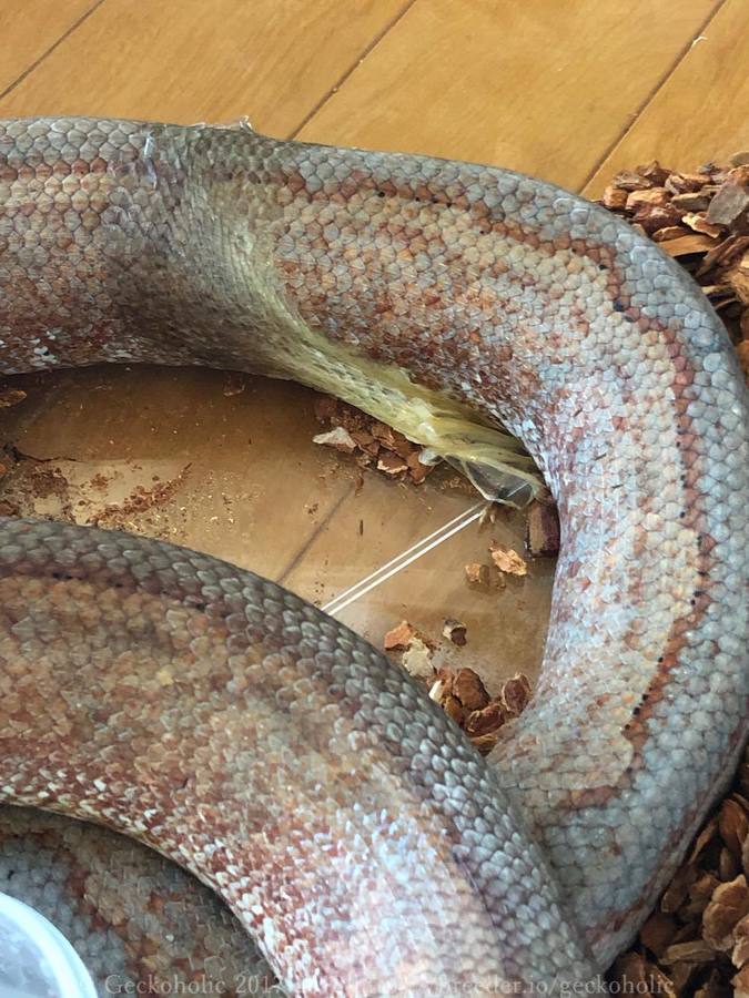 c82b5729-2bc2-4b2c-b5b0-398a4e22f151