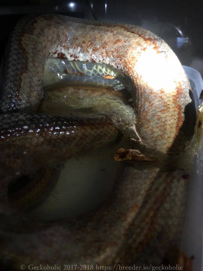 3c778d78-c783-4891-a1df-8f1bc56c2721