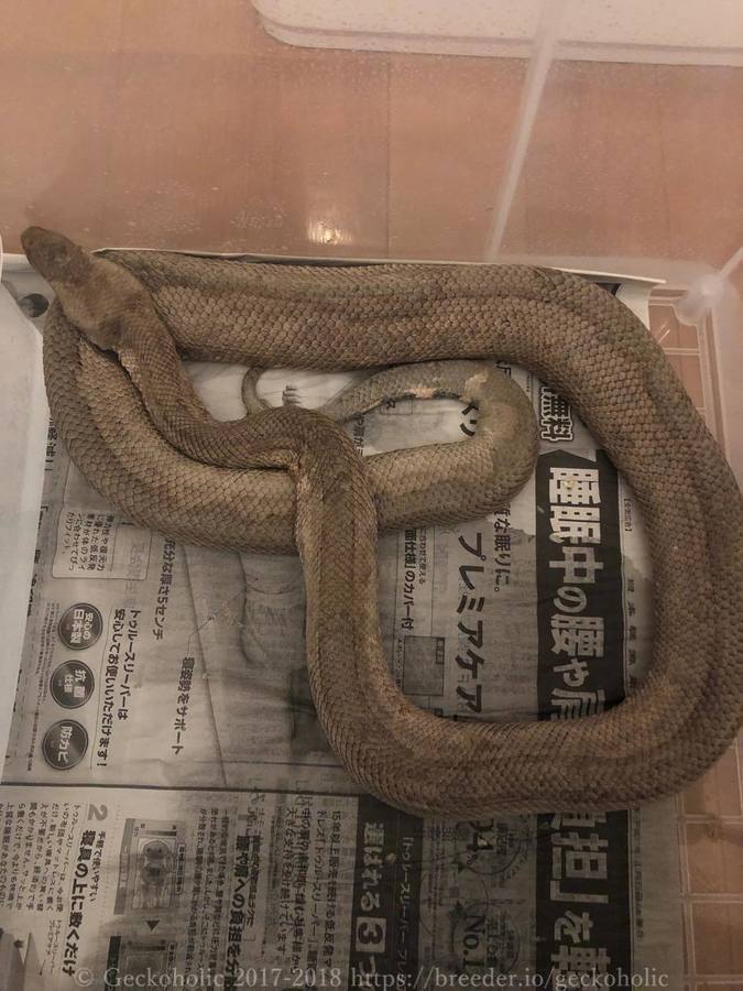 8b0bb206-218a-438e-ae3d-bf11648ab1ec