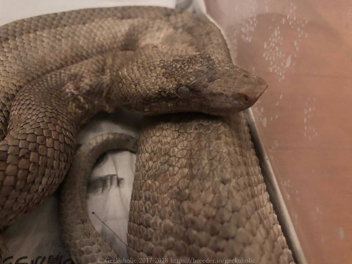 e0d5ca3e-db6f-4fa6-85e1-83fd9fd85448