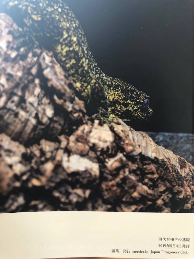 4c15ce99-e031-4f96-981b-aa438784a079