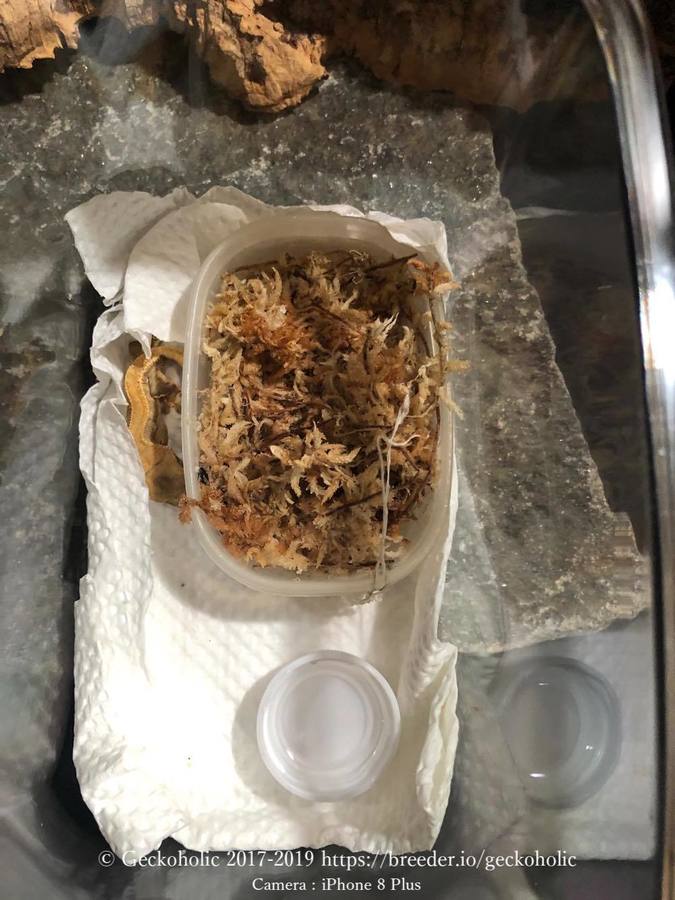 907463ab-0a24-44a1-9907-0fa0f6f88748