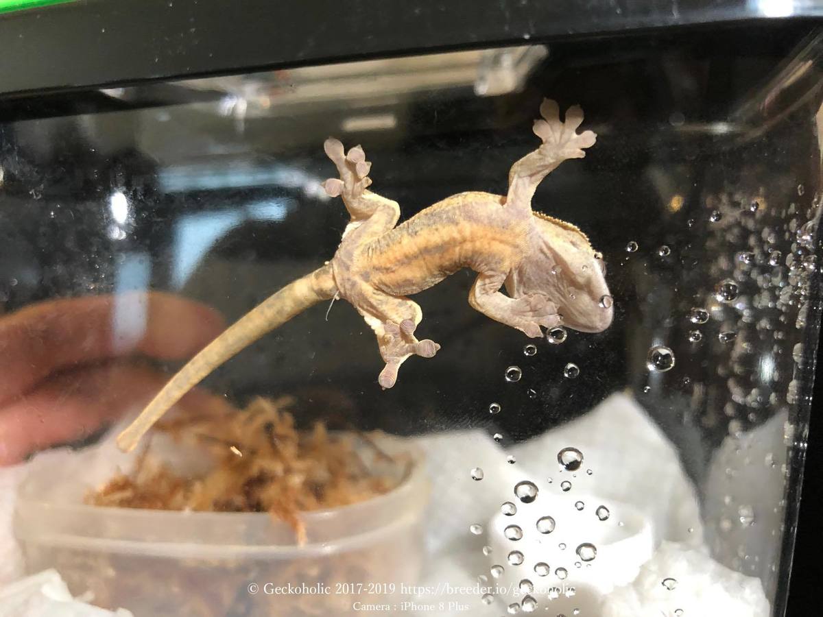 2cc29e4c-94a4-4463-a710-ee205cd4daaa