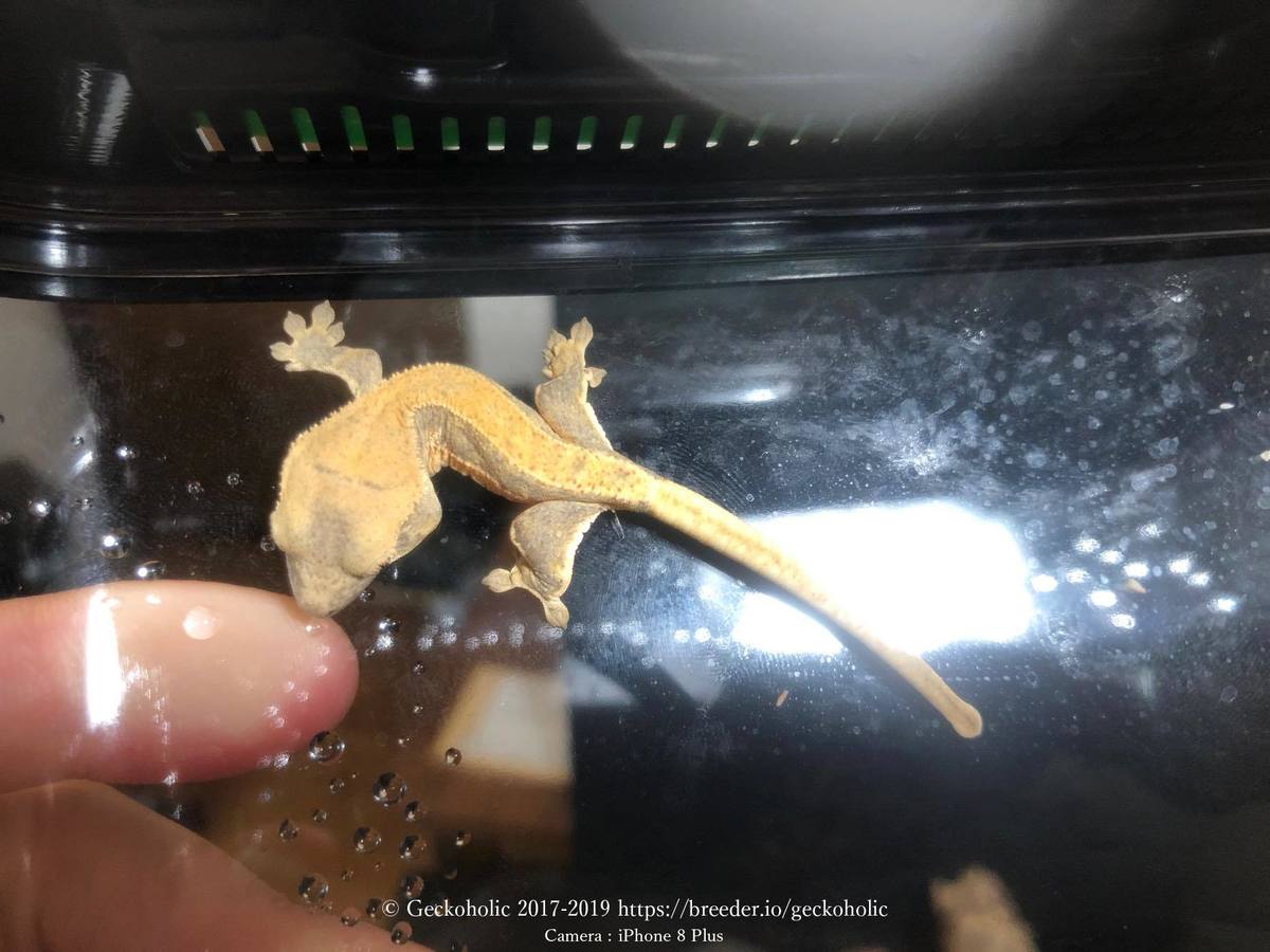 0ee401a1-4b80-4867-add9-4c2c6f345ae2