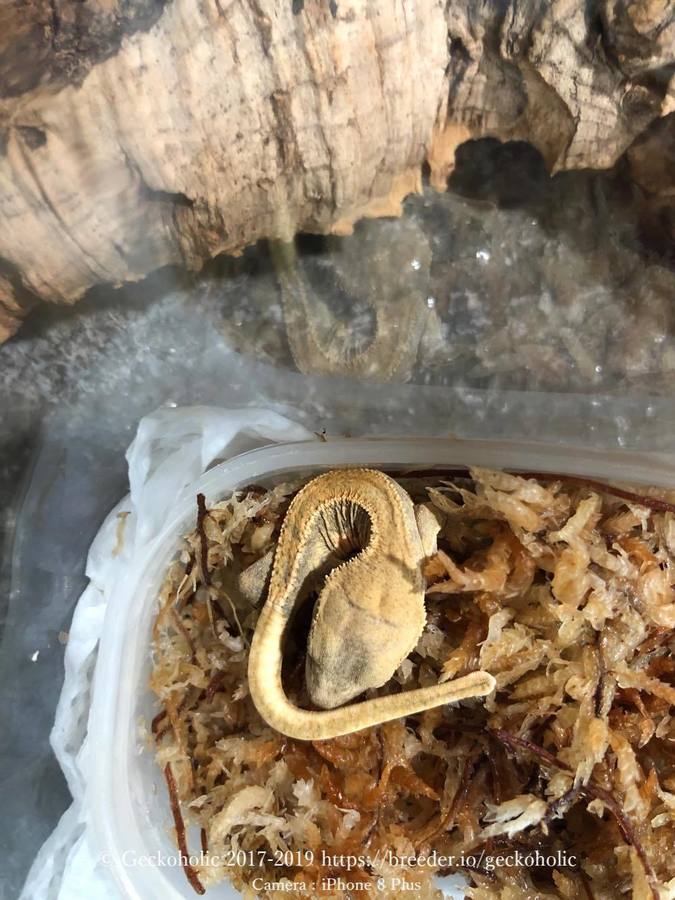 f93641b2-f806-453f-b652-aeae5877614e