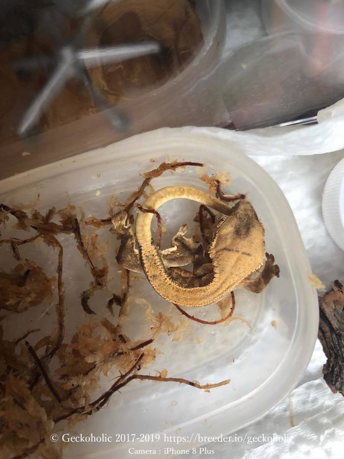 05b7b251-2dff-489e-9234-5dee56fbc986