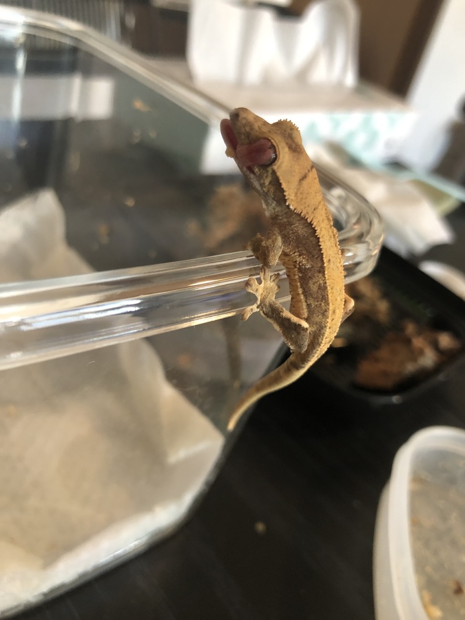 f506b0c3-838a-44cb-8f46-800f3caed227