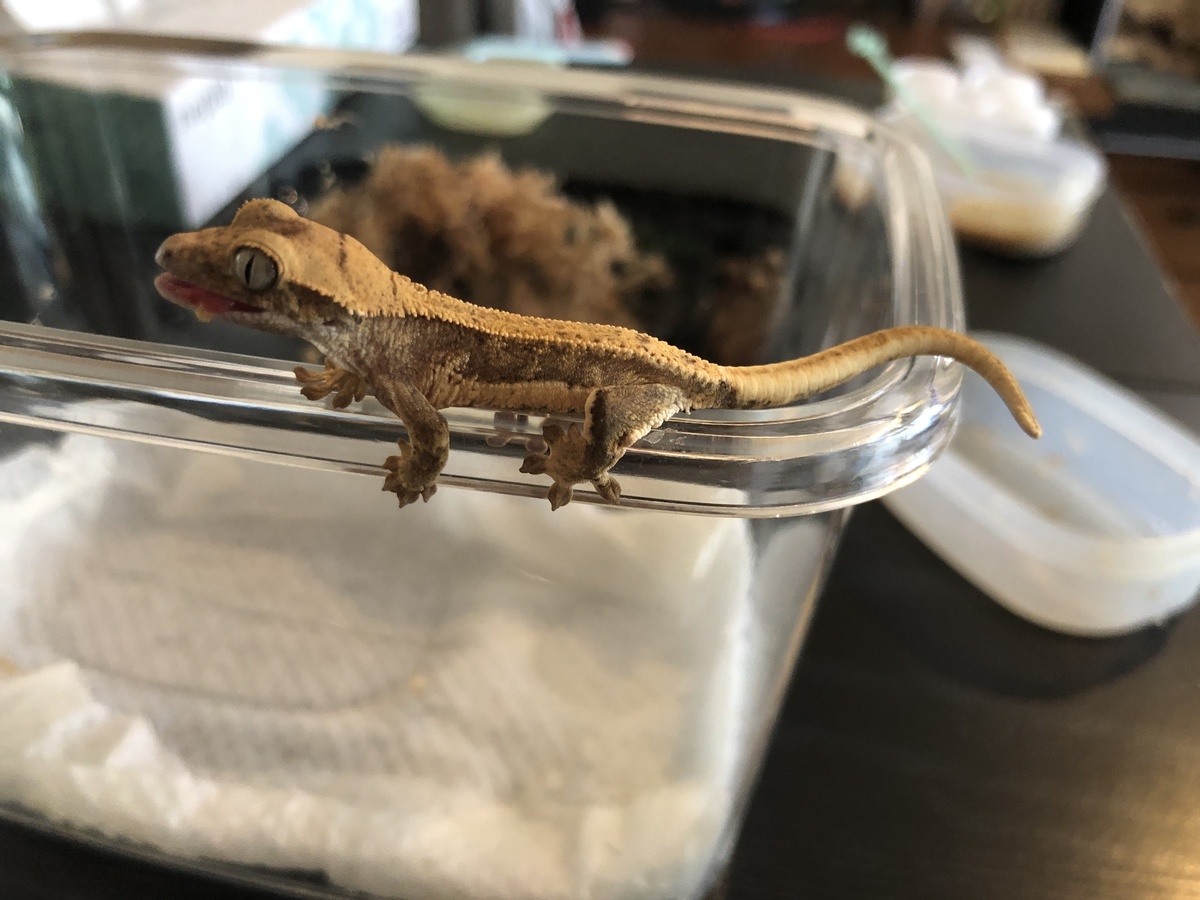 96141cc3-106b-4ffe-8d70-64efa2d2fbed