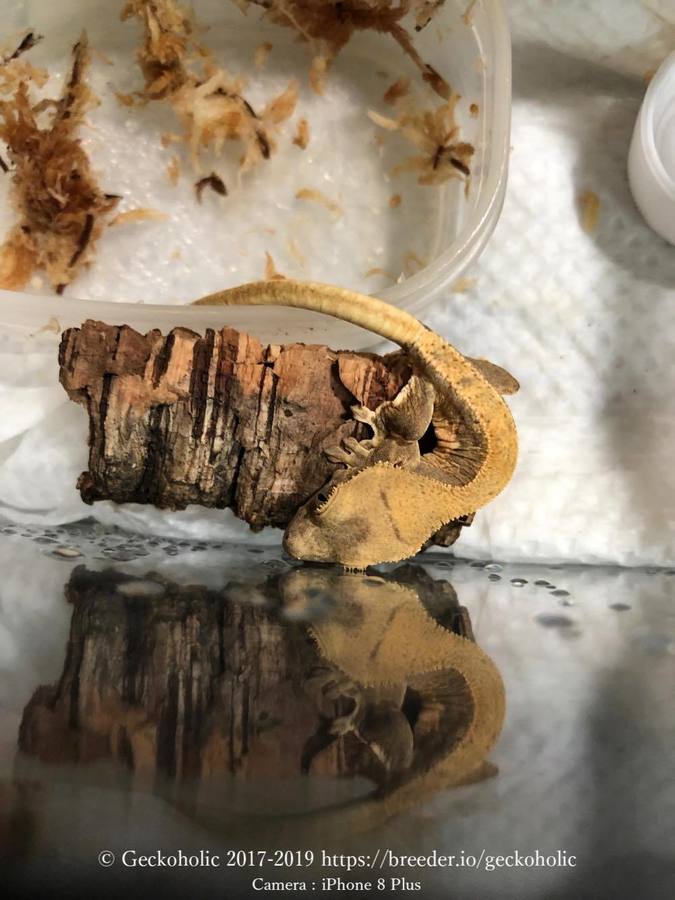 b2606b7e-fcab-41f4-b167-f39c370f2df3