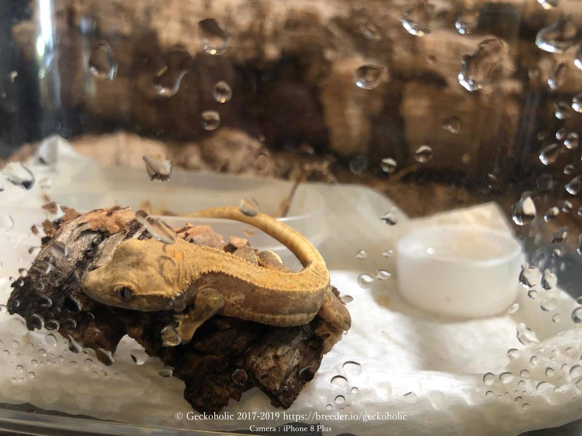 20f38c5d-2780-4835-8926-673e283246ec