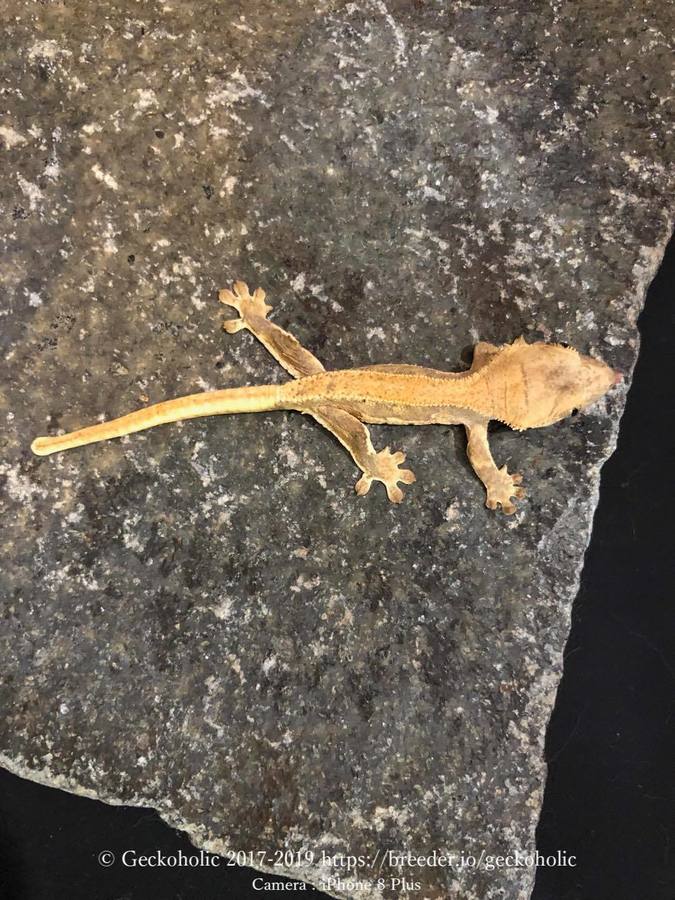 76cc95ab-9742-47e1-8a07-0b8575966144