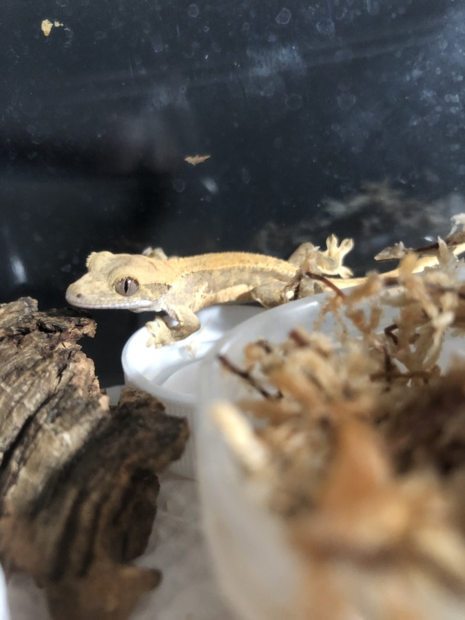 f2f460d5-48f8-4897-807d-c5b5c6704ed7