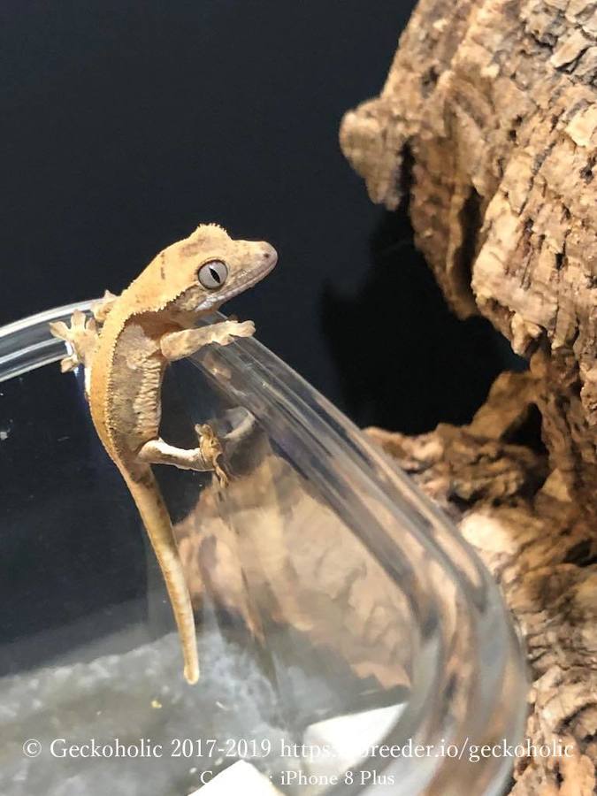 73a72197-9f0f-41e7-b58d-205e4fed1967