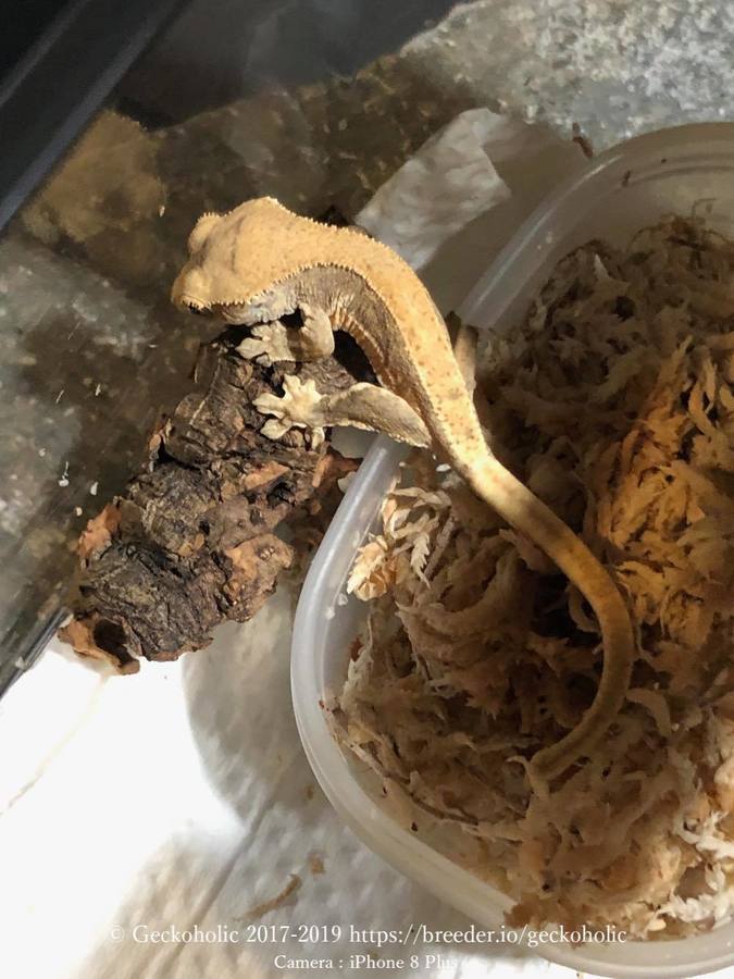 82229bd9-14fd-487c-a5f5-98f2d778edd0