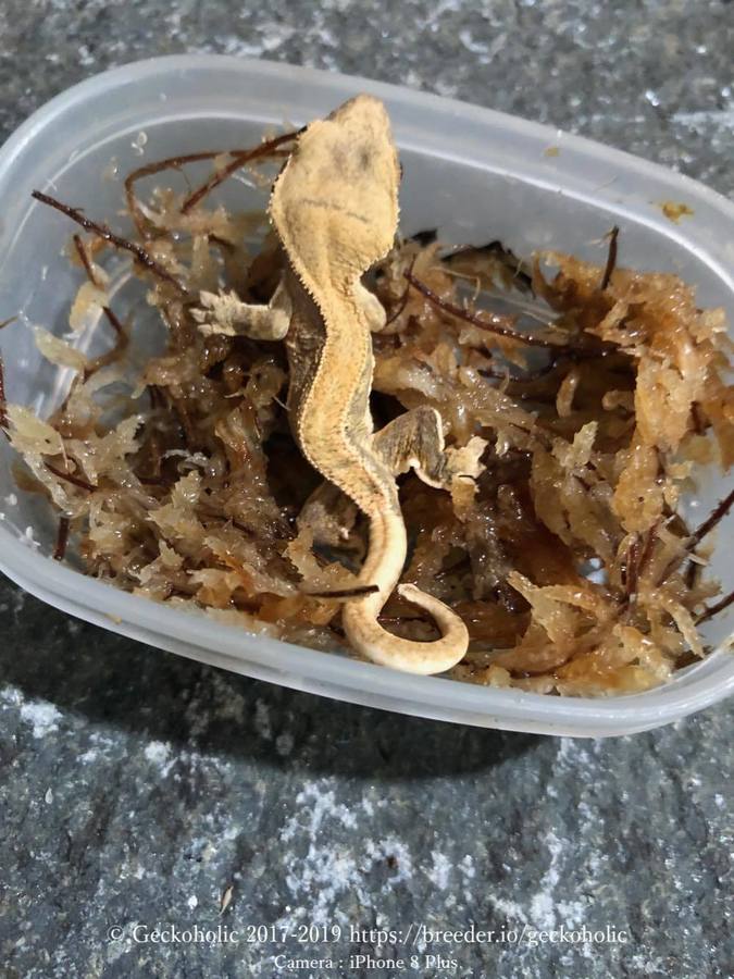 2d4488a8-cc84-49e6-b8a6-48e33f5297df