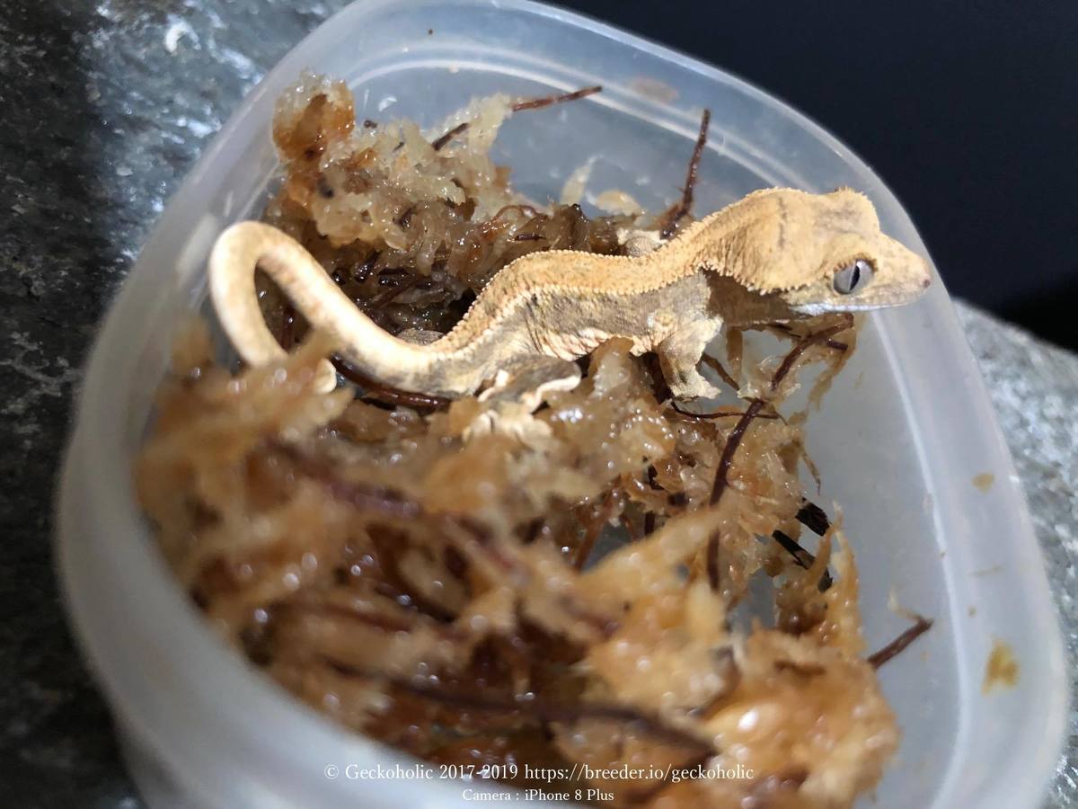 54537ede-4e46-4906-8a5c-feb4818c8039