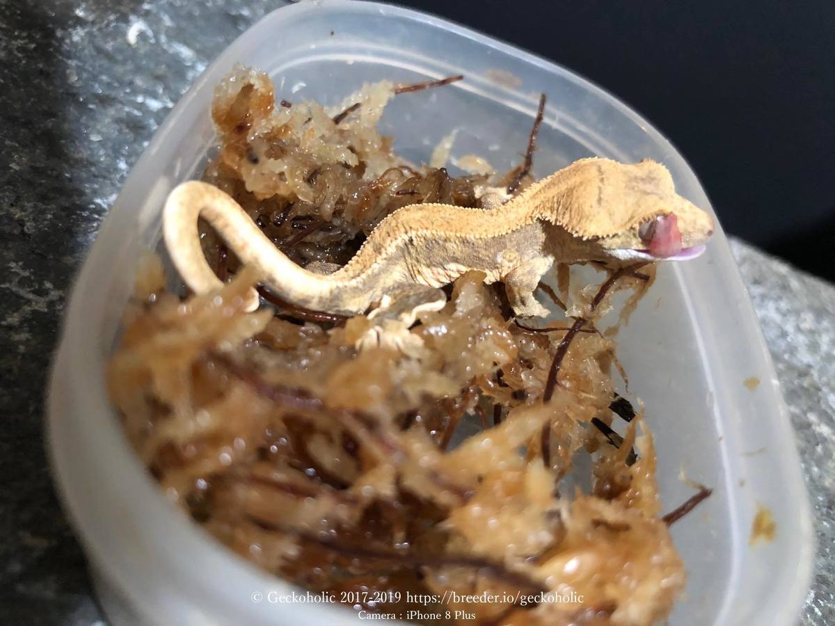 2f9a3553-ac94-45b0-9d49-835af84c2ab2