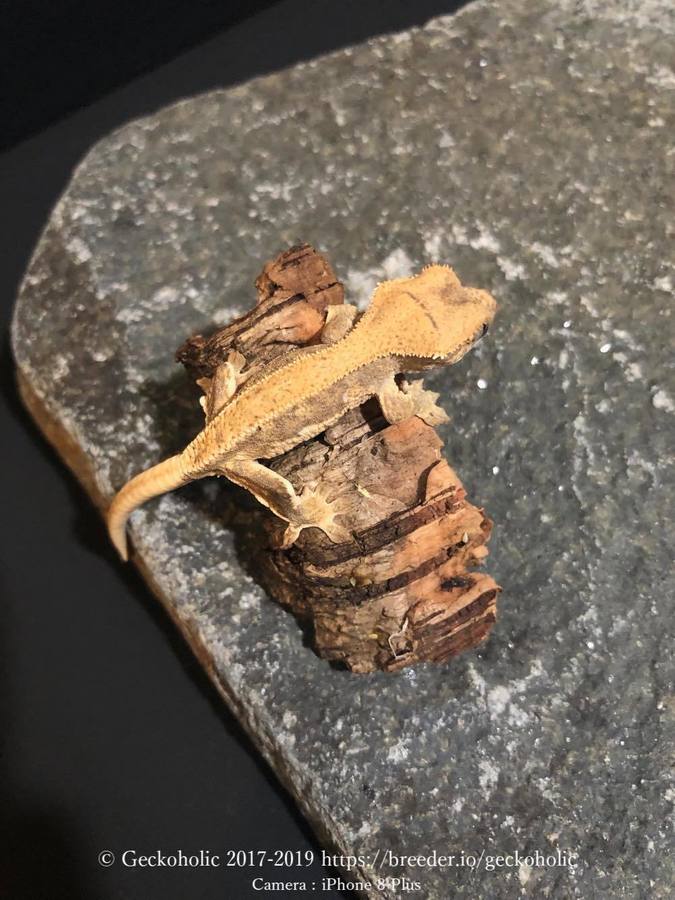 8fc7a2bf-8b06-445b-a0a4-b5a5e2eb8277