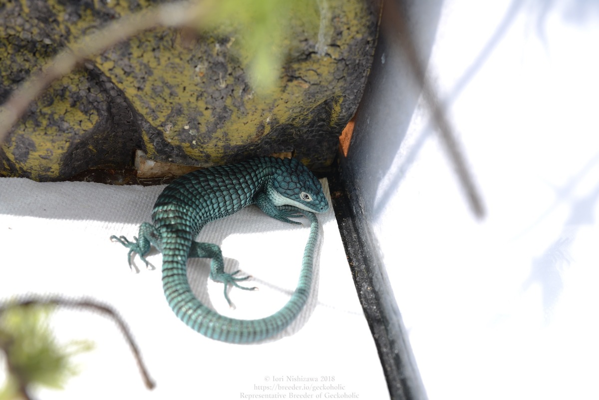 65a3c8c1-1875-4fe5-9b47-a628a8666fd6