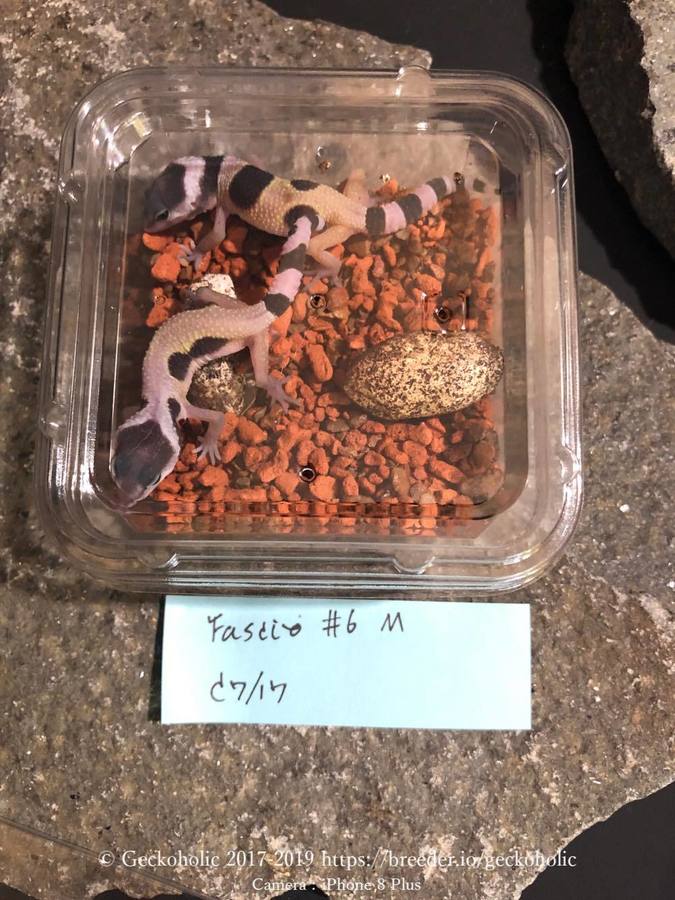 348ca85b-a51d-4d53-9e27-737357b7ec98