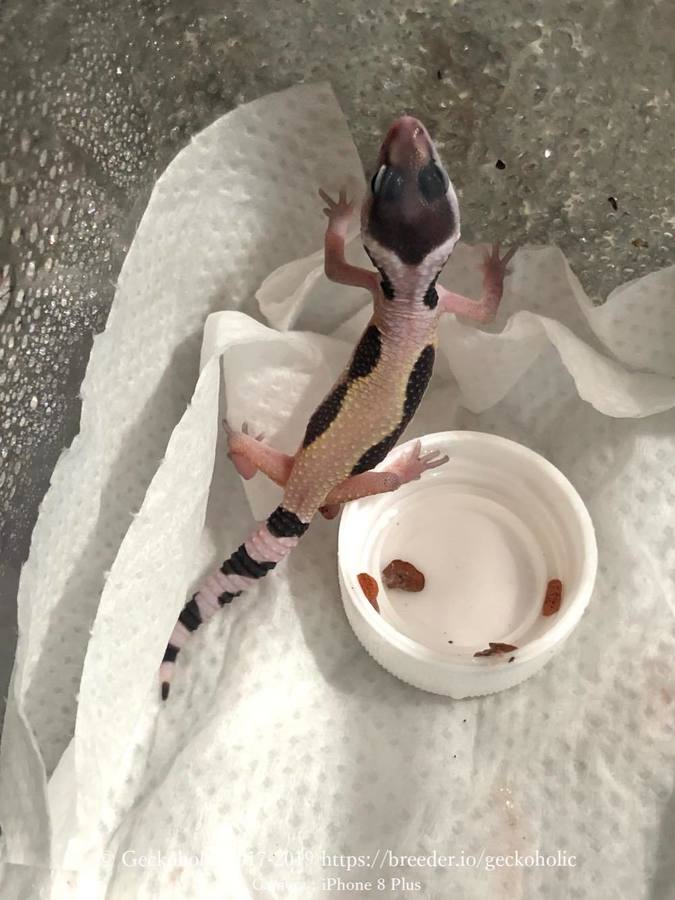 5c04be13-1797-4b26-9946-aa3843a1ee0d