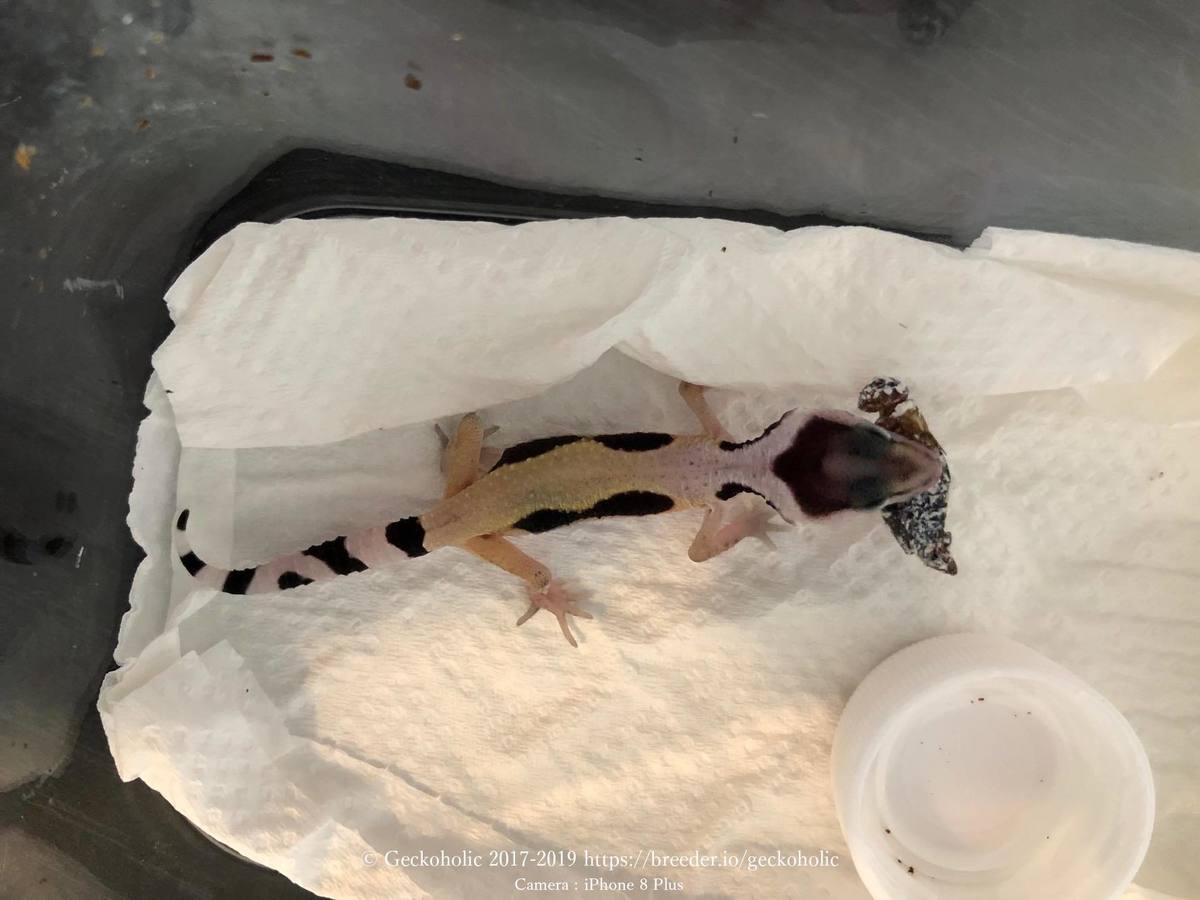 1201d1ee-ebf6-4492-a57e-00c26d5861e6