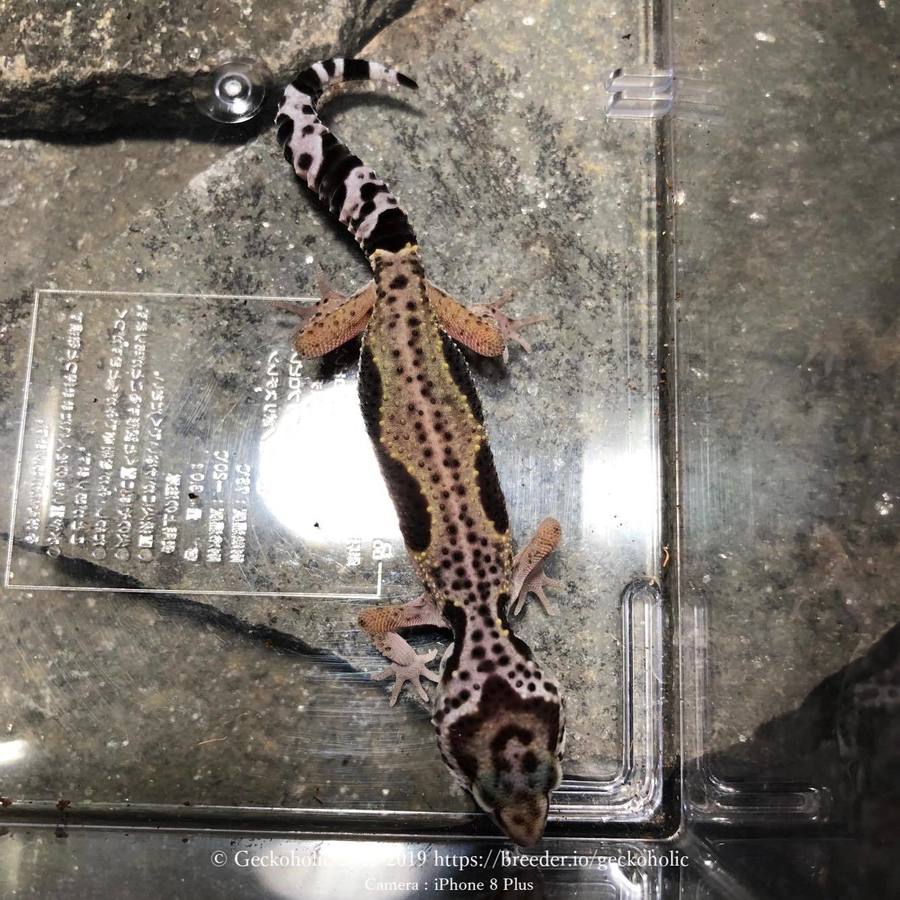 2a3e522c-456f-4b82-8c1f-27a110acc1e3