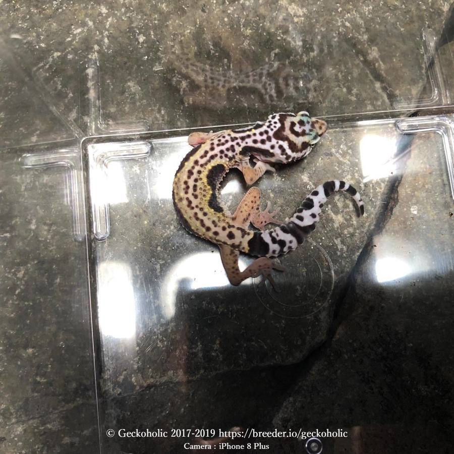 478bd2b8-0f01-42e5-a60e-c6713a01547b